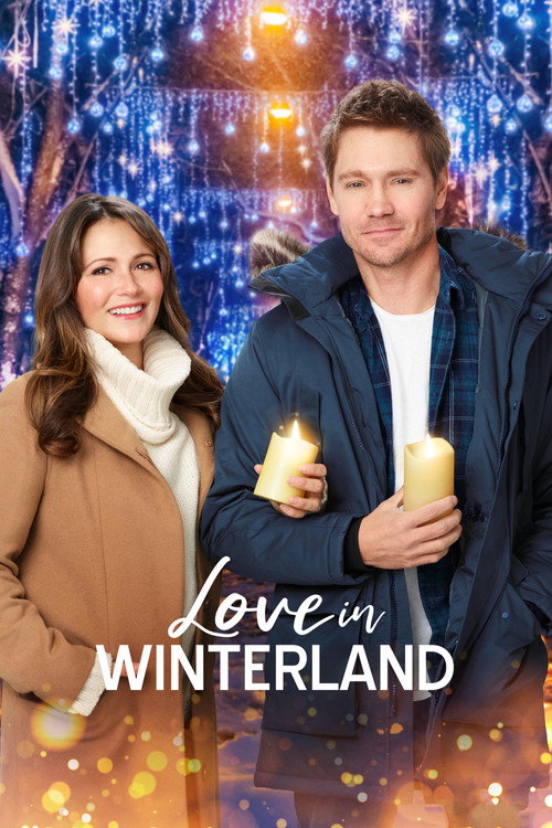 Love in Winterland (2020) movie poster