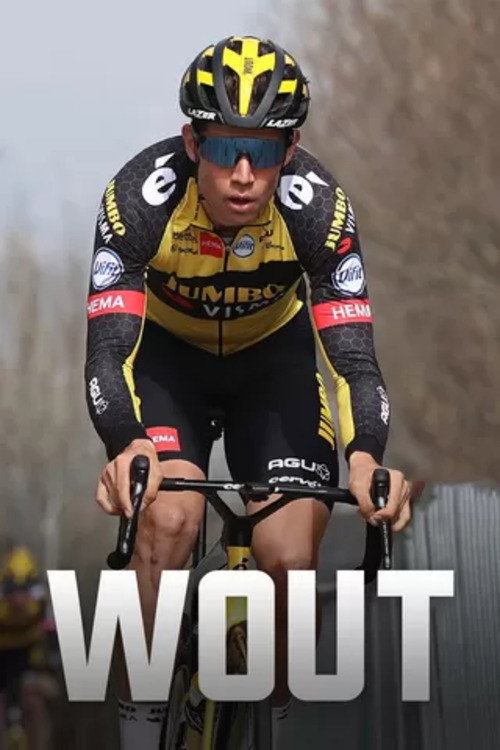 Wout (2020) TV show poster