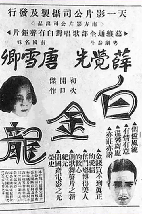 Baijin Long (1933) movie poster