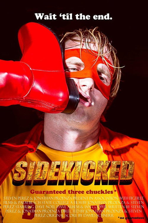 SideKicked (2016) movie poster