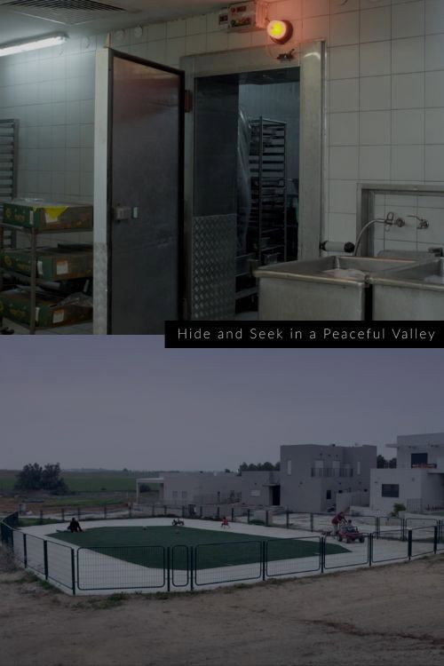 Hide and Seek in a Peaceful Valley (2020) movie poster