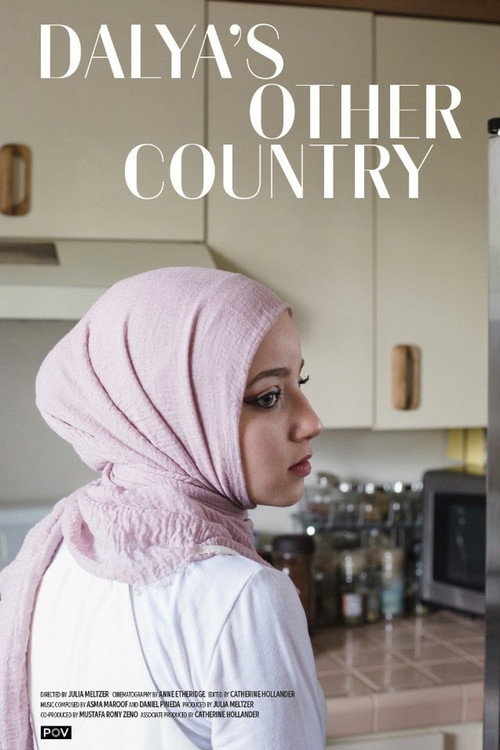 Dalya's Other Country (2017) movie poster