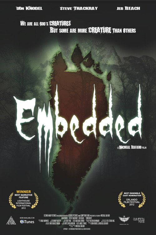 Embedded (2013) movie poster