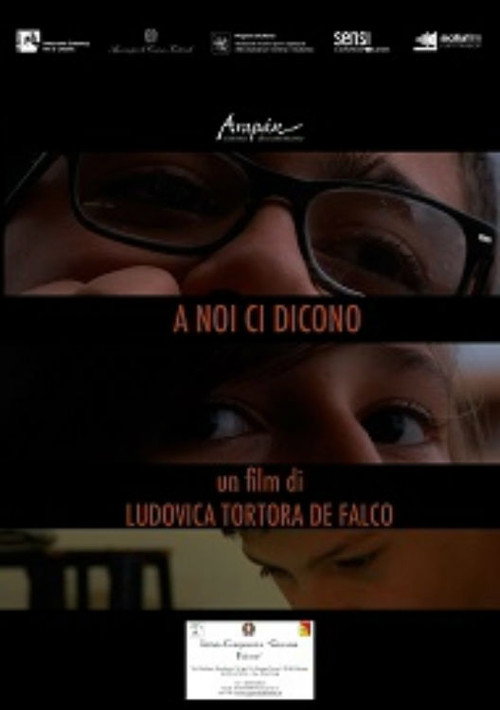 A noi ci dicono movie poster