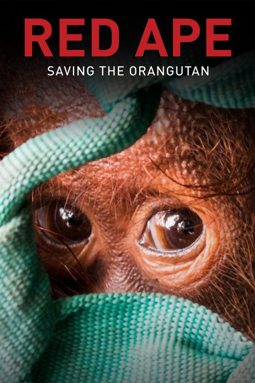 Red Ape: Saving the Orangutan (2018) movie poster