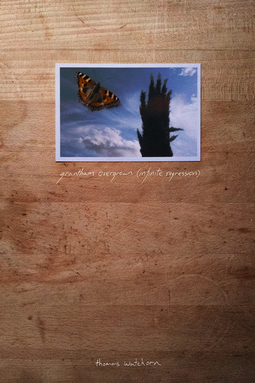 Grantham Overgrown (Infinite Regression) (2021) movie poster