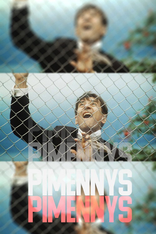 Pimennys (1993) TV show poster