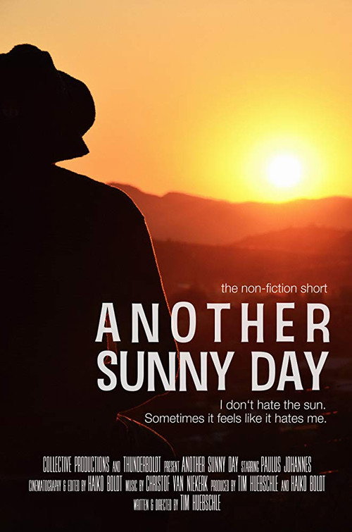 Another Sunny Day (2017) movie poster