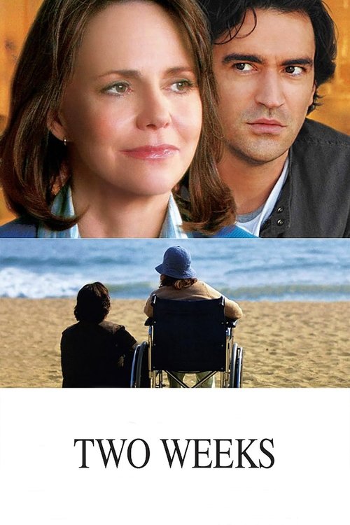 Two Weeks (2006) movie poster