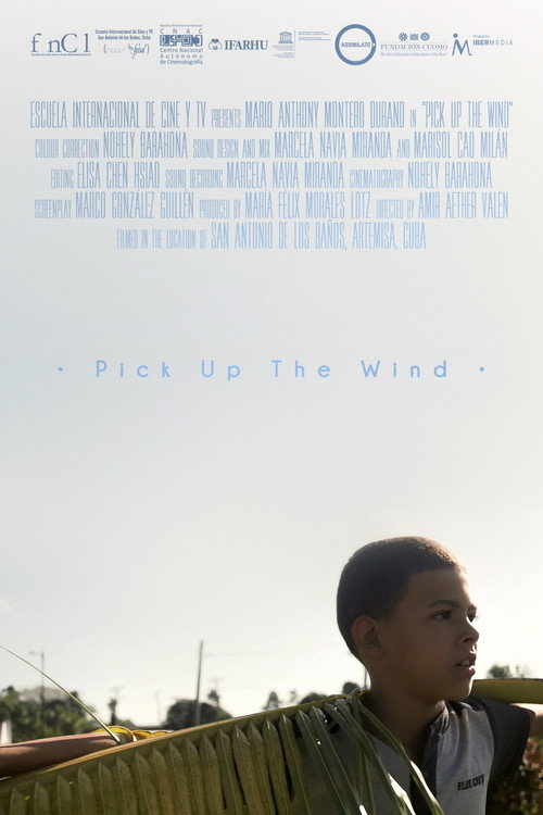 Pick up the Wind (2021) movie poster