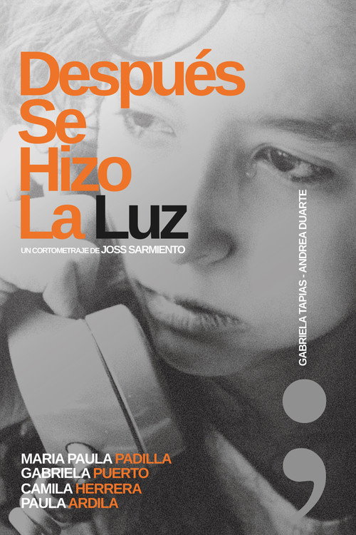 Después Se Hizo La Luz (2026) movie poster
