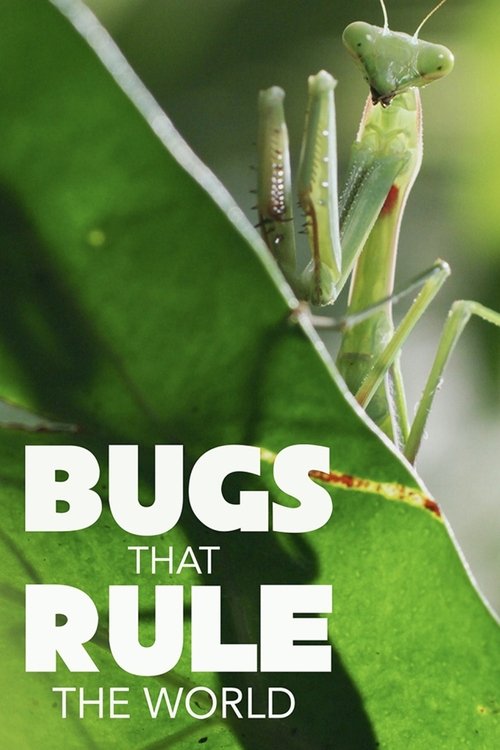 Bugs That Rule the World (2025) TV show poster