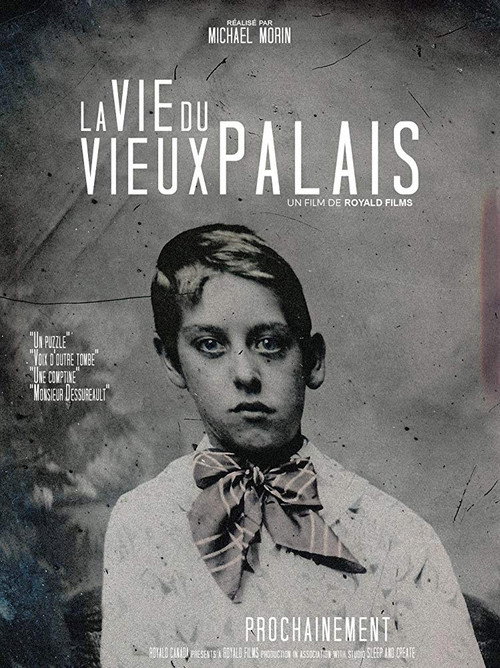La Vie du Vieux Palais movie poster