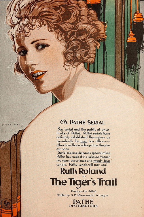 The Tiger's Trail (1919) movie poster