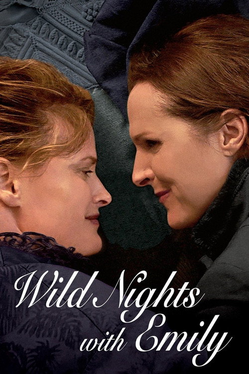 Wild Nights with Emily (2018) movie poster