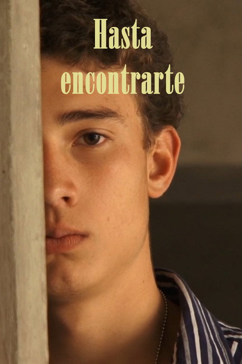 Hasta encontrarte (2013) movie poster