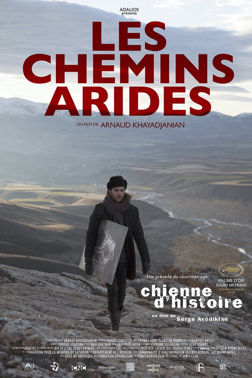 Stony Paths (2015) movie poster