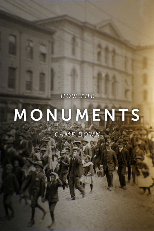 How the Monuments Came Down (2021) movie poster