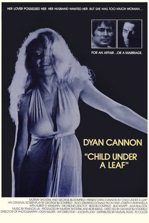 Child Under a Leaf (1974) movie poster