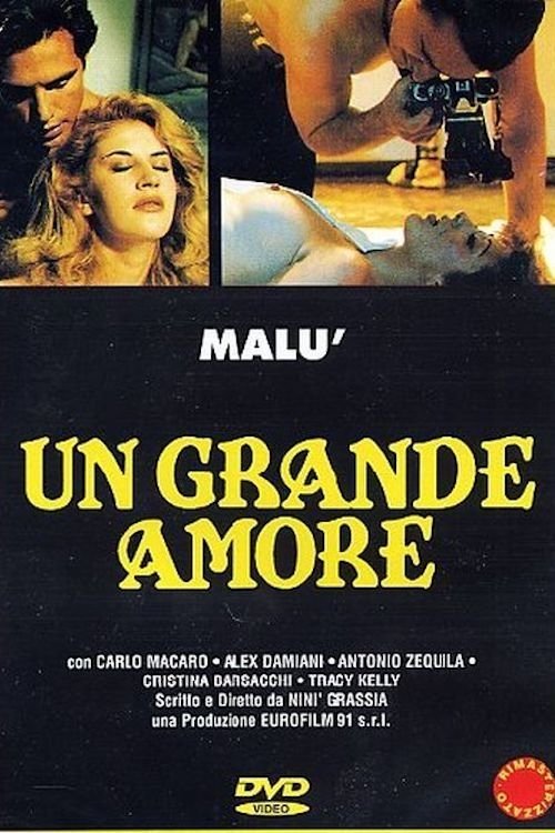 A Great Love (1995) movie poster
