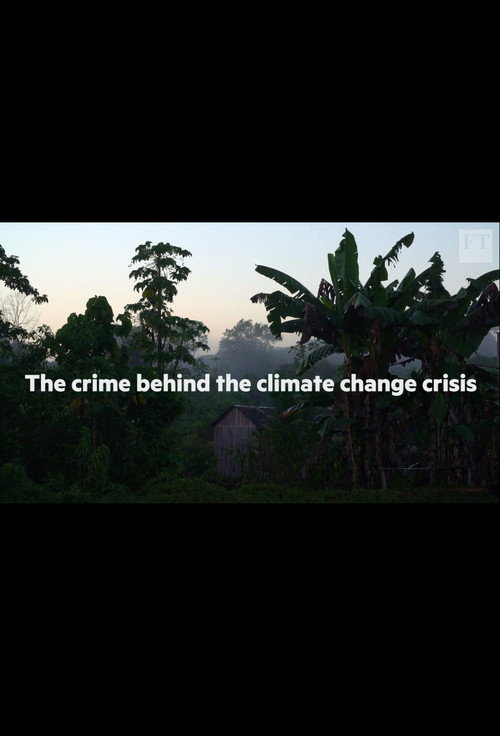 The crime behind the Amazon climate change crisis (2019) movie poster
