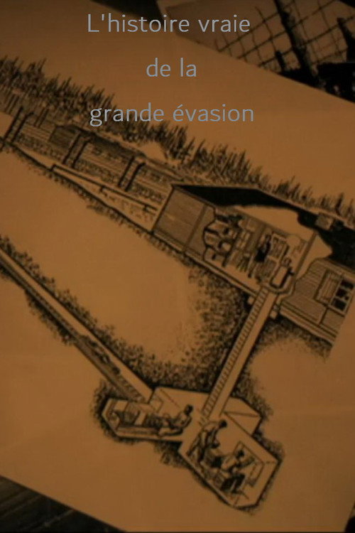 The Great Escape: The Reckoning (2009) movie poster