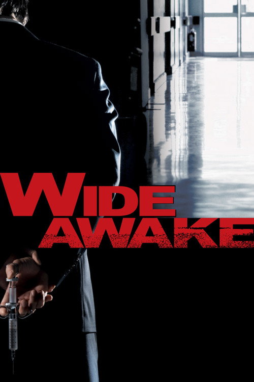 Wide Awake (2007) movie poster