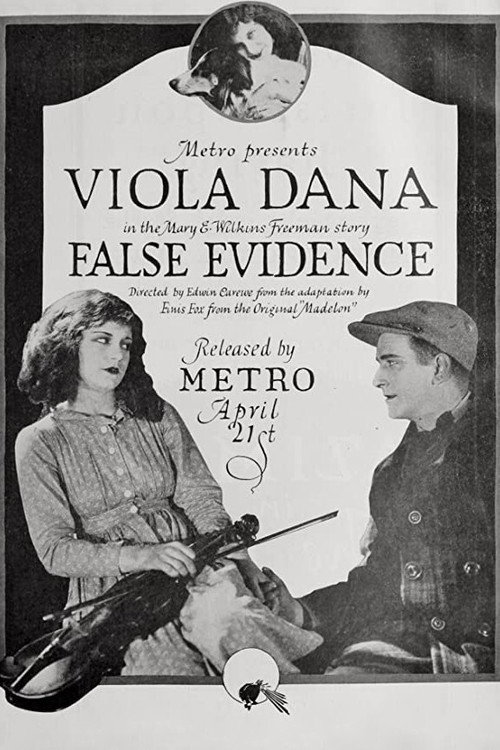False Evidence (1919) movie poster