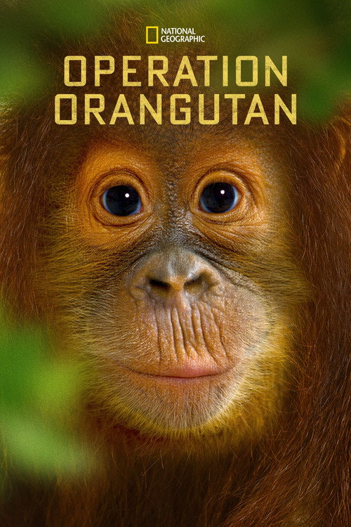Operation Orangutan (2015) movie poster