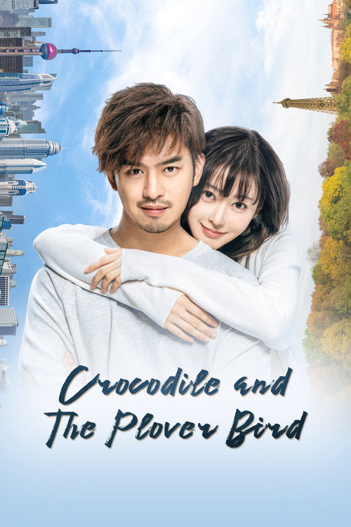 Crocodile and the Plover Bird (2019) TV show poster
