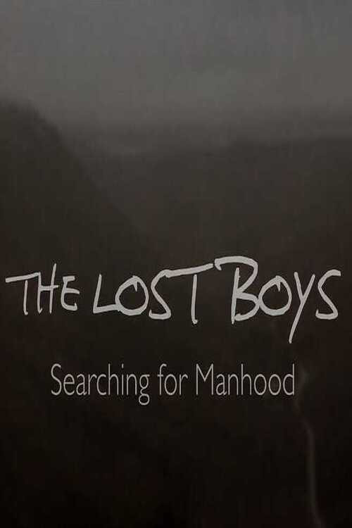The Lost Boys: Searching for Manhood (2024) movie poster
