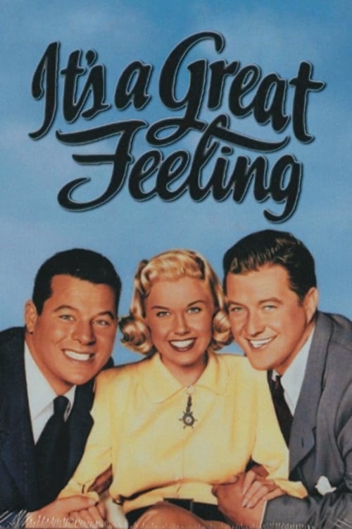 It's a Great Feeling (1949) movie poster