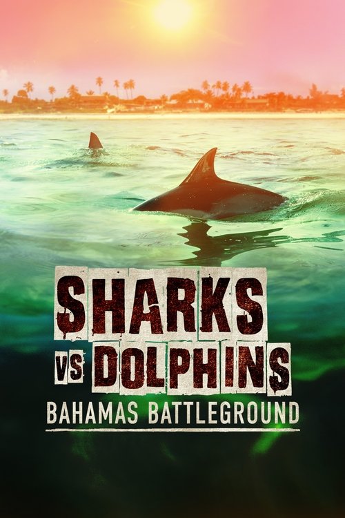 Sharks vs. Dolphins: Bahamas Battleground (2023) movie poster