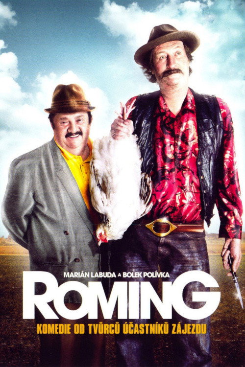 ROMing (2007) movie poster