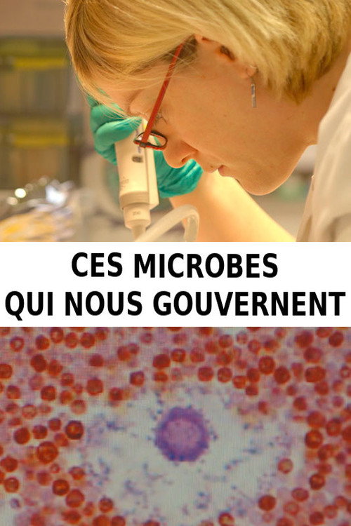 Ces microbes qui nous gouvernent (2016) movie poster