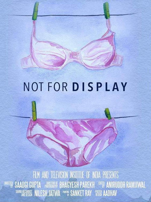 Not  for Display (2018) movie poster