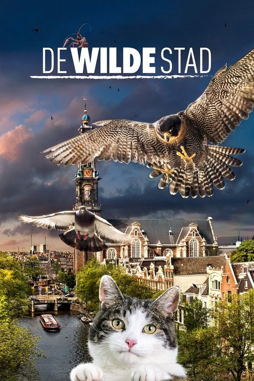 Wild Amsterdam (2018) movie poster
