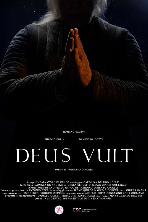 Deus Vult (2024) movie poster