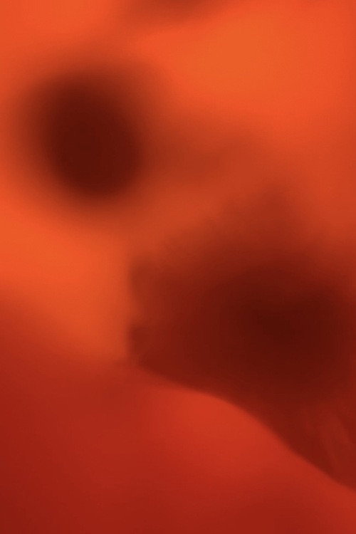 Love is Tinged with Red (2010) movie poster