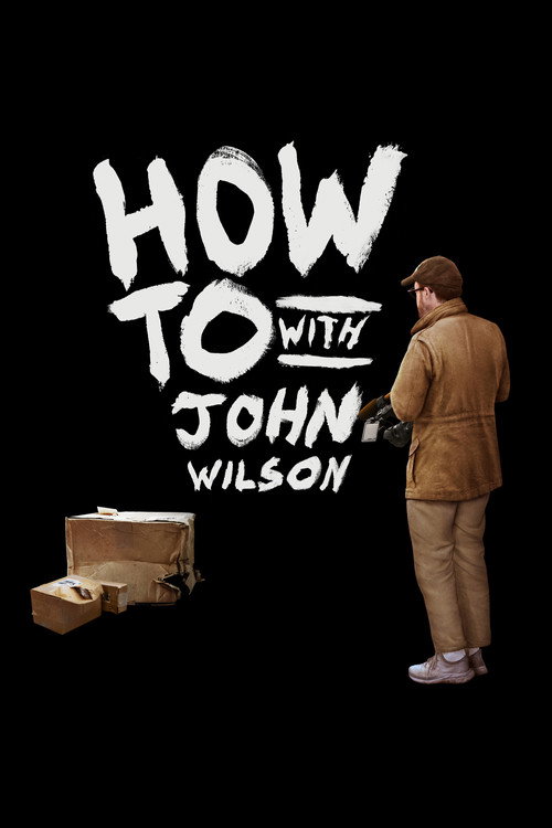How To with John Wilson (2020) TV show poster