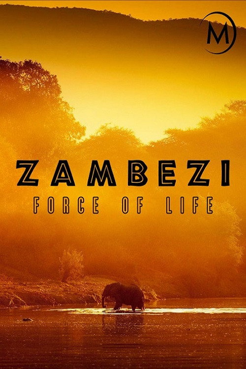 Zambezi: Force of Life movie poster