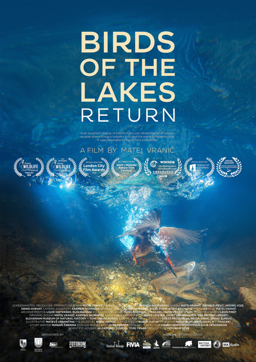 Birds of the Lakes Return (2018) movie poster