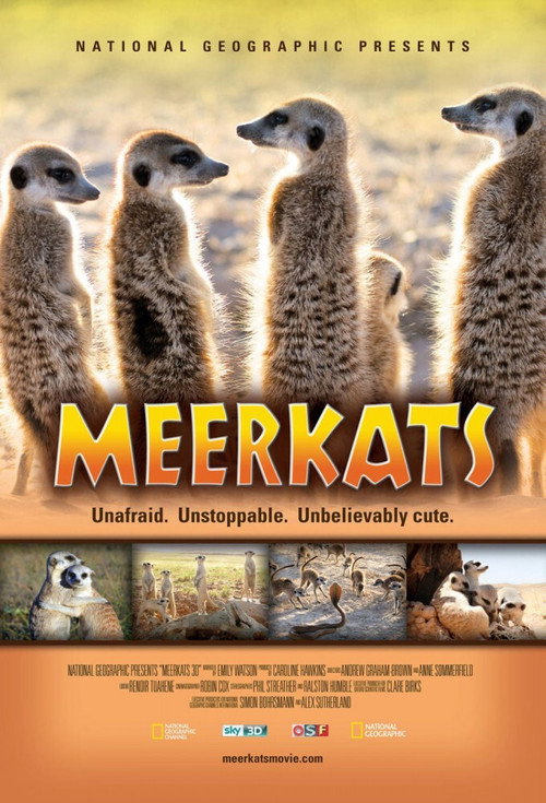 Meerkats 3D (2011) movie poster