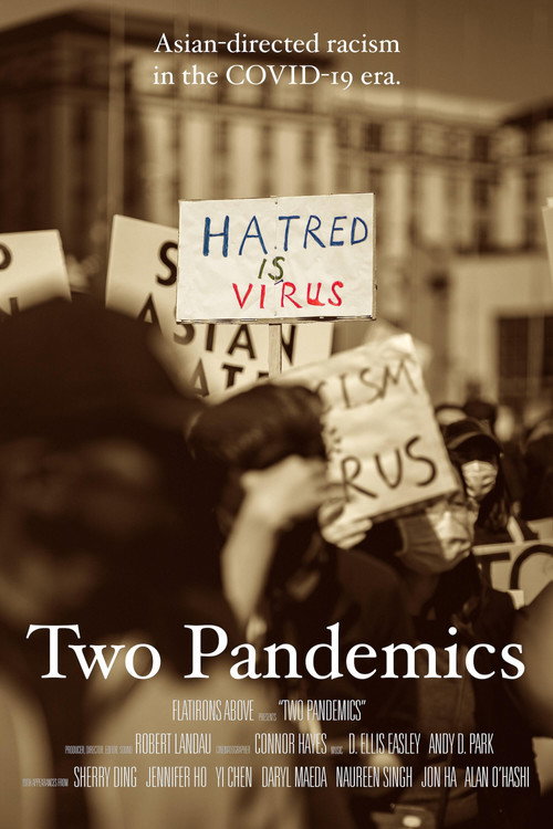 Two Pandemics (2021) movie poster