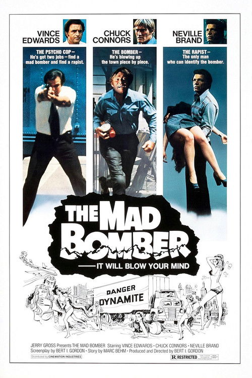 The Mad Bomber (1973) movie poster