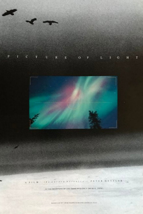 Picture of Light (1994) movie poster
