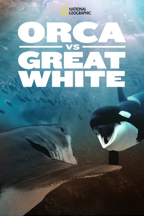 Orca Vs. Great White (2021) movie poster