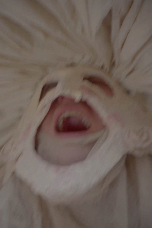 Le Roman de Remort, ou les fabliaux inhumains & vilains de l'Ultime Carnaval (2023) movie poster