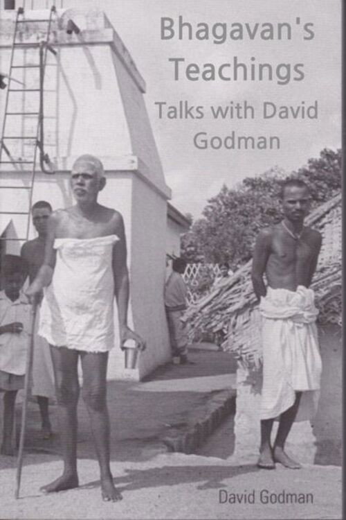 (Bhagavan's Teachings) Talks with David Godman (2018) movie poster