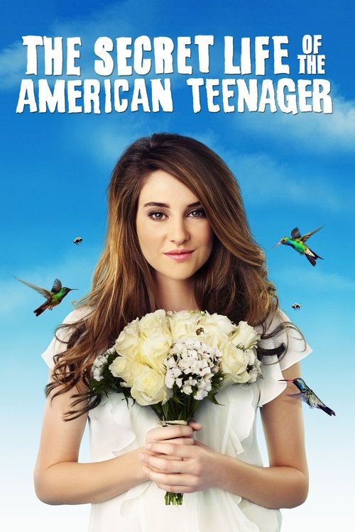 The Secret Life of the American Teenager (2008) TV show poster